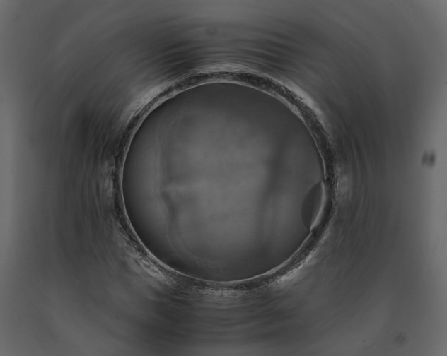 X0000091540921200708241730