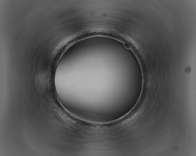 X0000091540922200708241730
