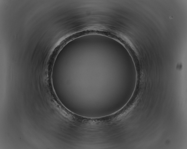 X0000091540923200708241730