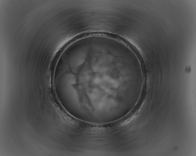 X0000091540925200708241730