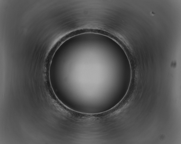 X0000091540926200708241730