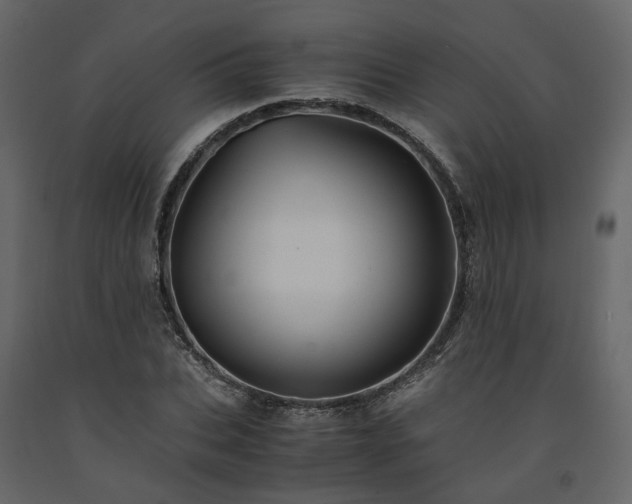 X0000091540927200708241730