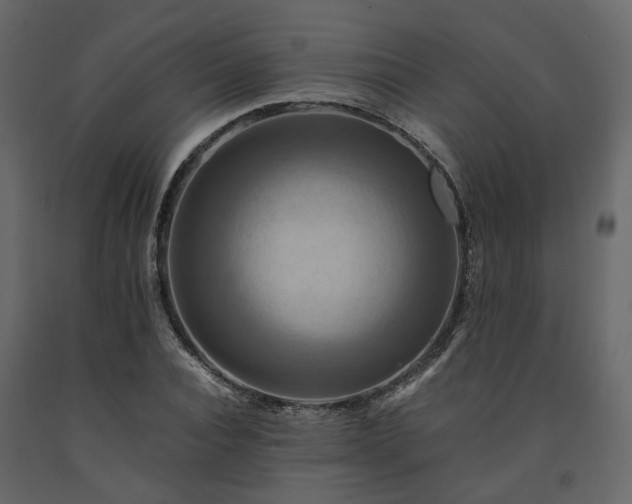 X0000091540928200708241730