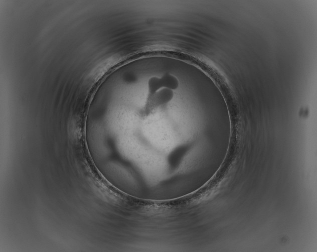 X0000091540929200708241730