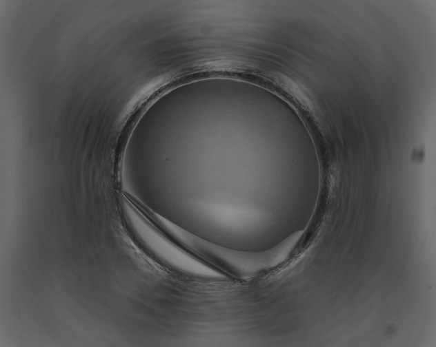 X0000091540930200708241730