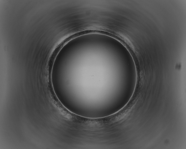 X0000091540931200708241730