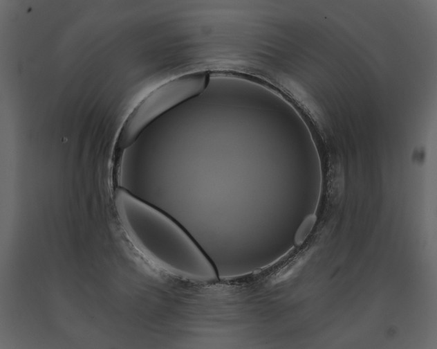 X0000091540932200708241730
