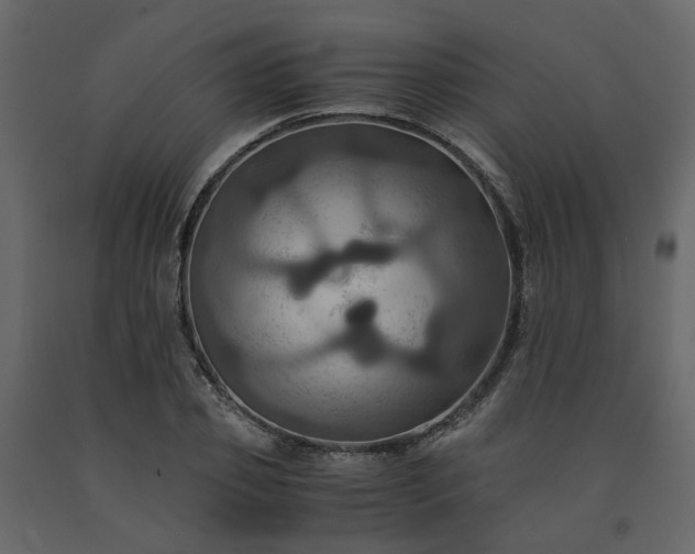 X0000091540933200708241730