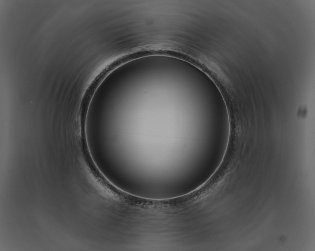 X0000091540934200708241730