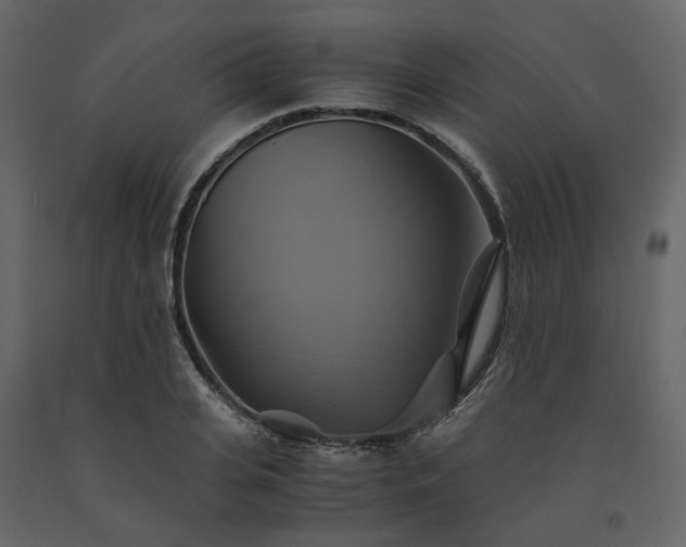 X0000091540935200708241730