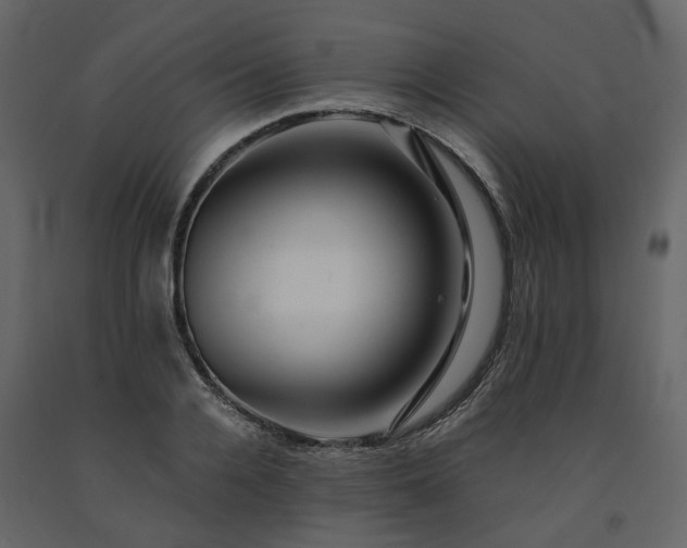 X0000091540936200708241730