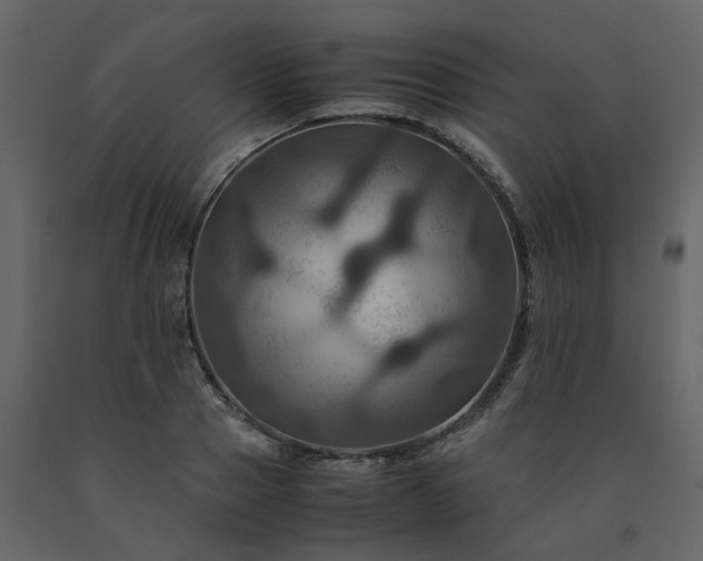 X0000091540937200708241730
