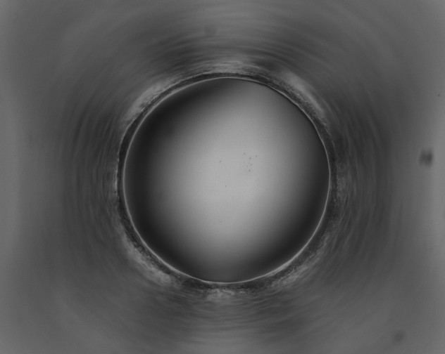 X0000091540938200708241730