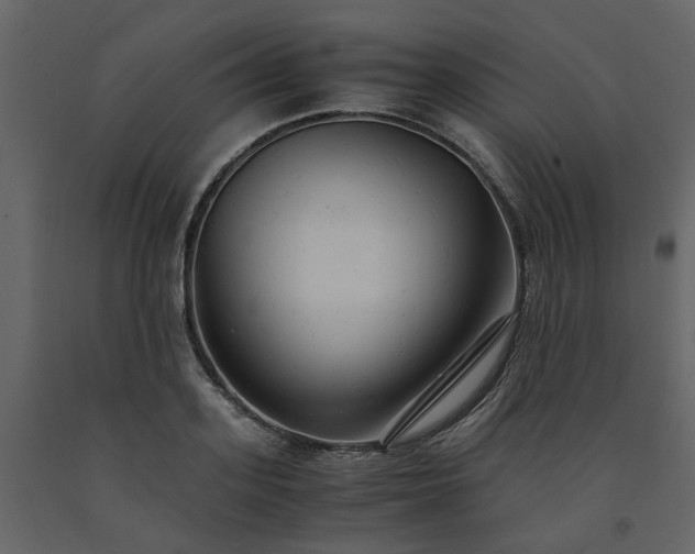 X0000091540939200708241730