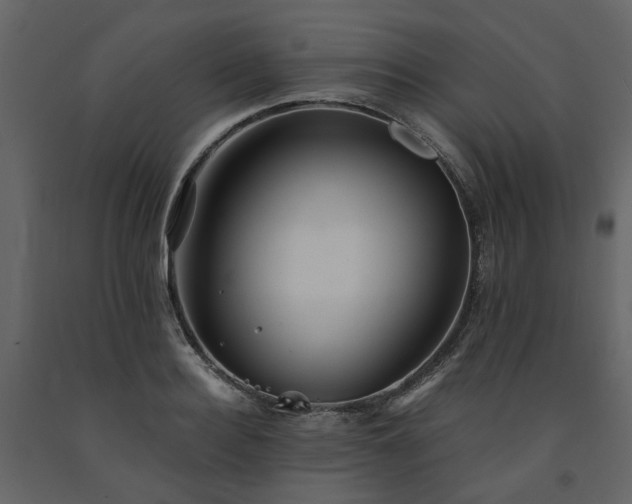 X0000091540940200708241730
