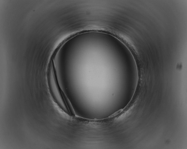 X0000091540942200708241730