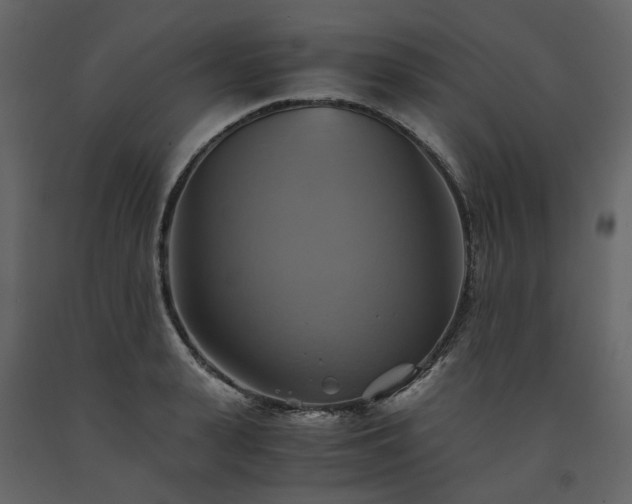 X0000091540943200708241730