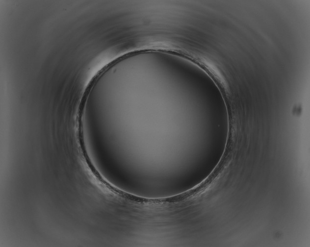 X0000091540944200708241730