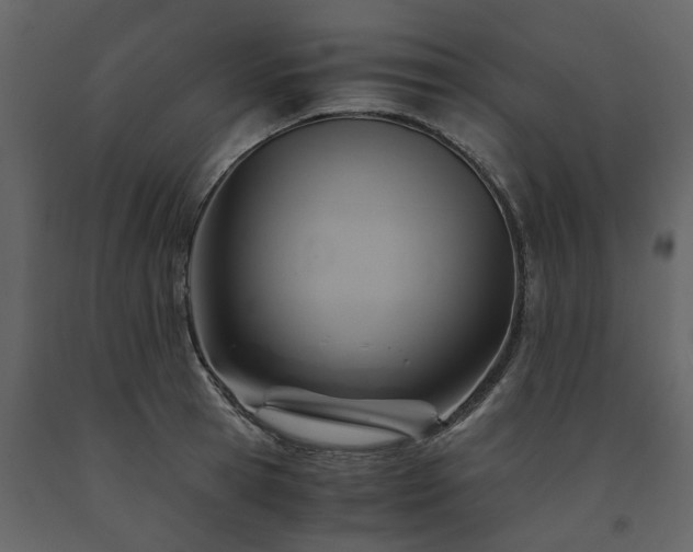 X0000091540945200708241730