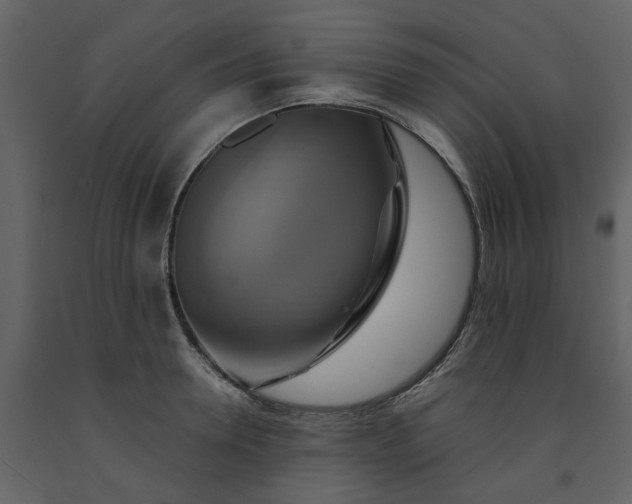 X0000091540946200708241730