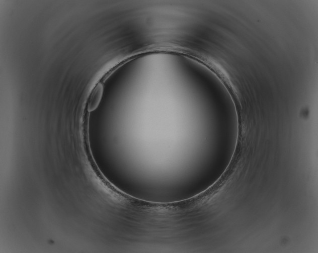 X0000091540947200708241730