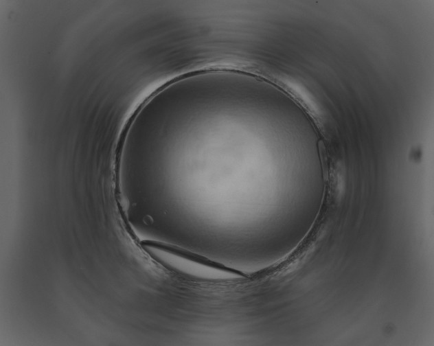 X0000091540948200708241730