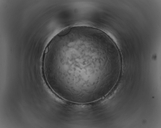 X0000091540949200708241730