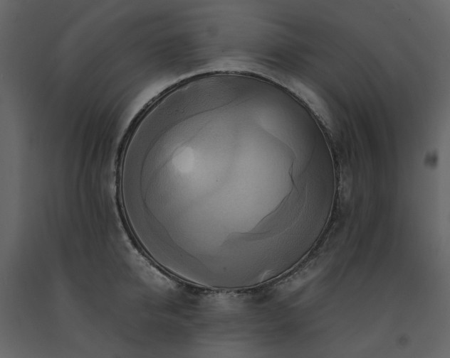 X0000091540950200708241730
