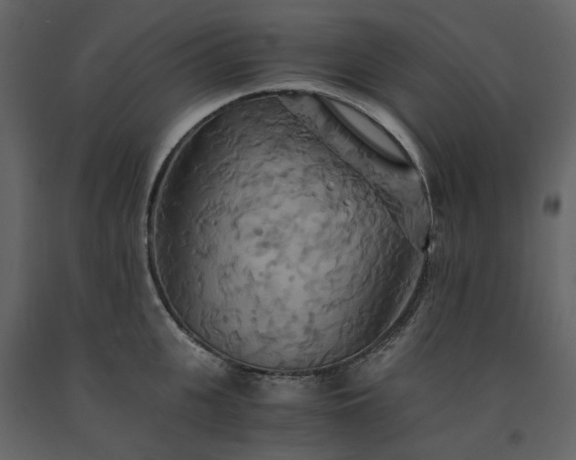 X0000091540951200708241730