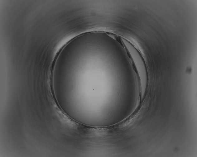 X0000091540952200708241730