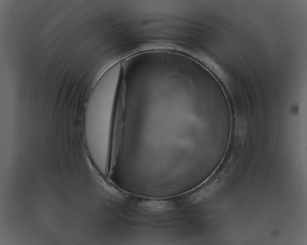 X0000091540953200708241730