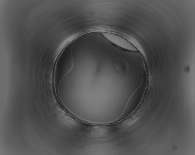 X0000091540954200708241730