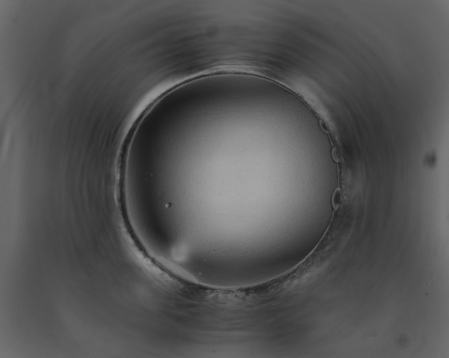 X0000091540955200708241730