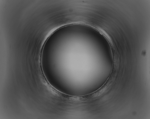 X0000091540956200708241730