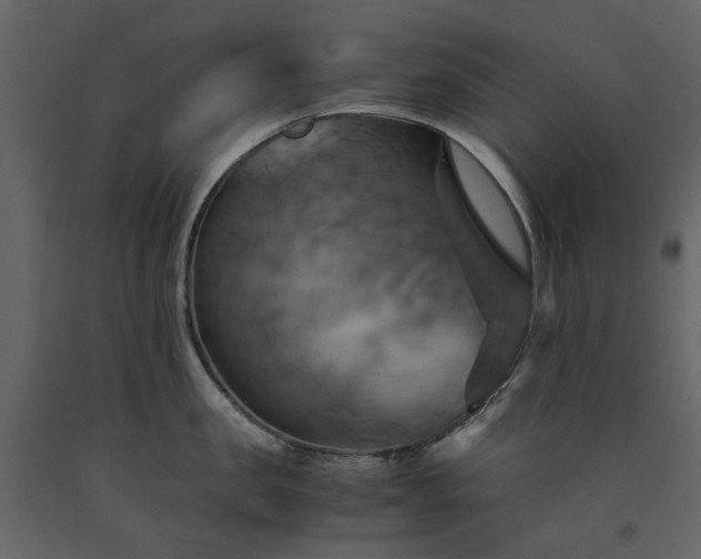 X0000091540957200708241730