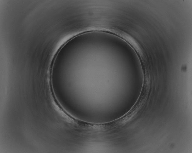 X0000091540958200708241730
