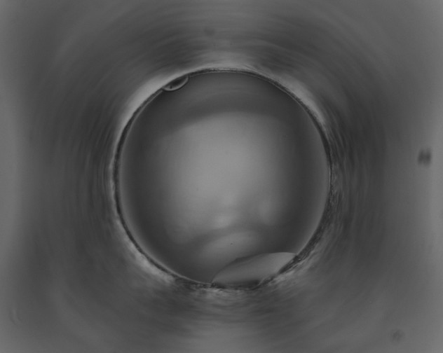 X0000091540959200708241730