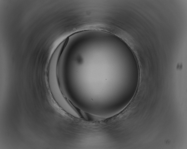 X0000091540960200708241731