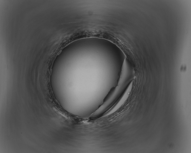 X0000091540961200708241730