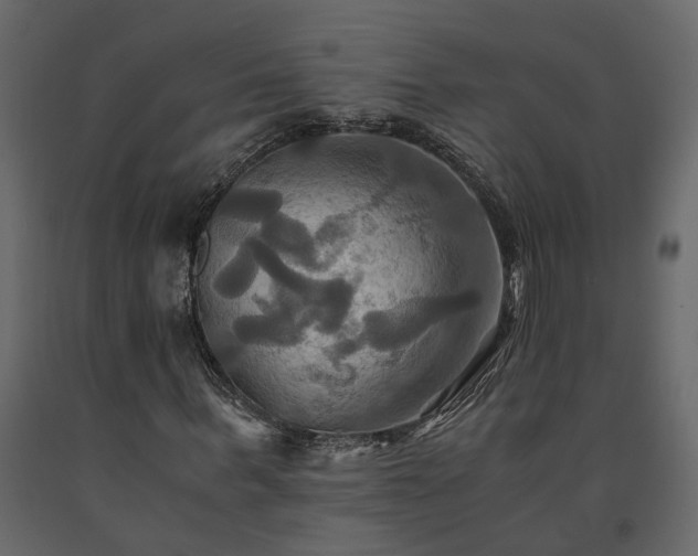 X0000091540963200708241730