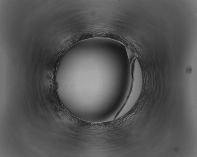 X0000091540964200708241730