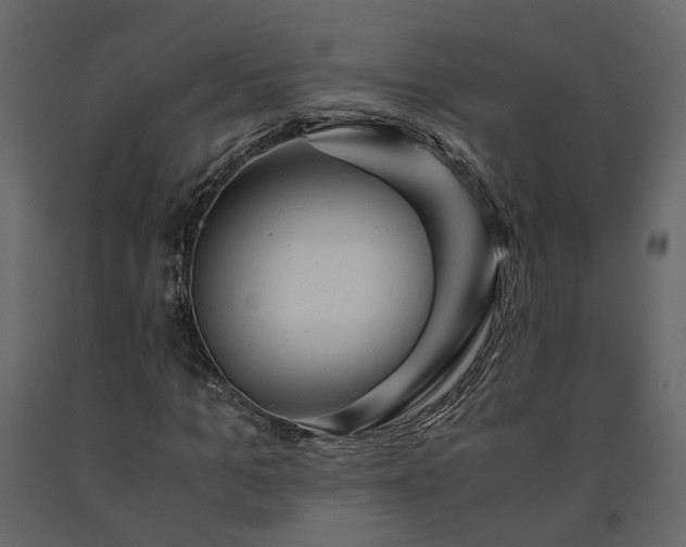 X0000091540965200708241730