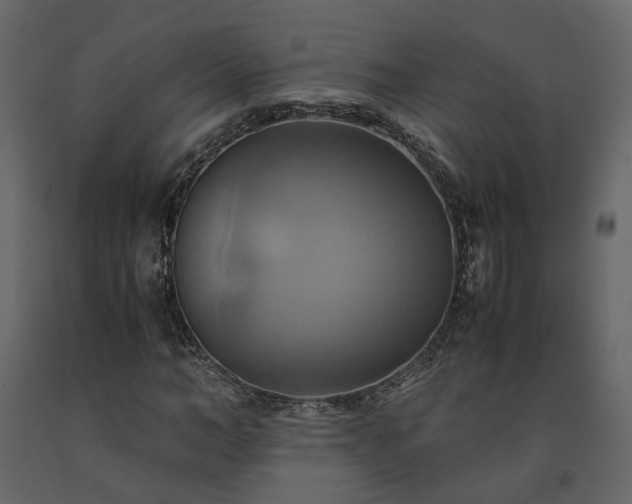 X0000091540966200708241730