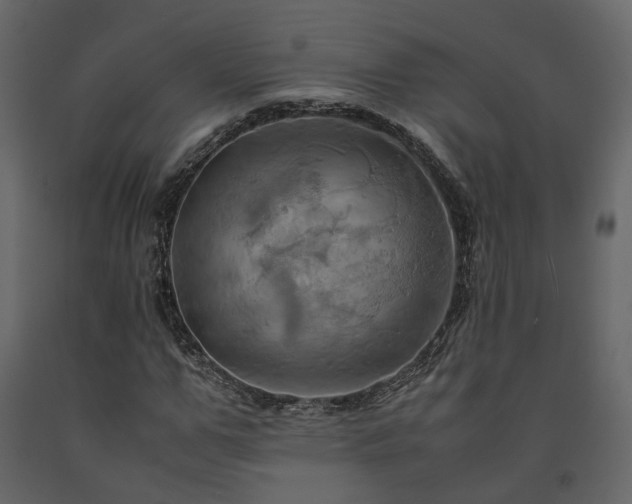 X0000091540967200708241730