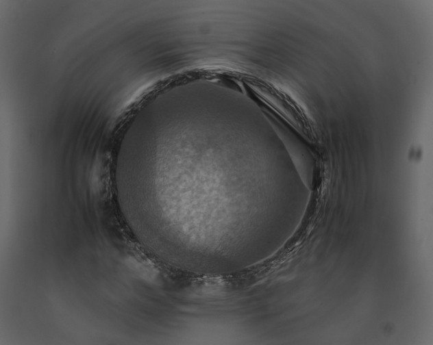 X0000091540968200708241730