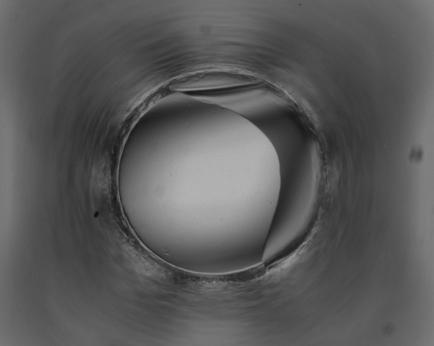 X0000091540969200708241730