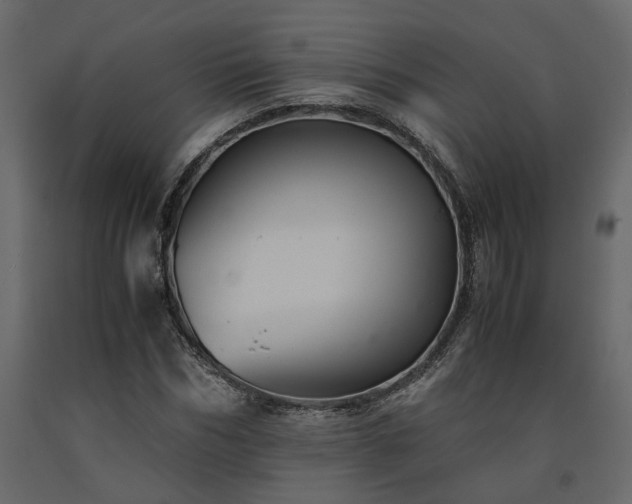 X0000091540970200708241730