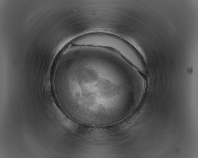 X0000091540972200708241730
