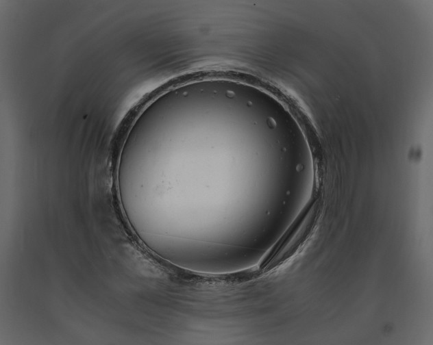 X0000091540973200708241730