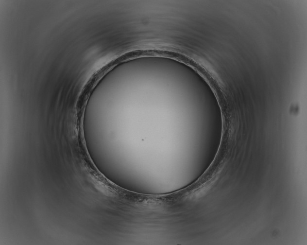 X0000091540974200708241730